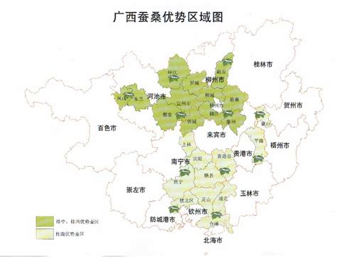 贫瘠不等于贫困！桑蚕带动广西隆林群众脱贫致富 - 周到上海