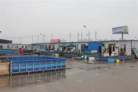 40年来的NO.1｜这是当时华东地区规模最大的水产品市场 华东地区最大的水产市场在哪里 - 哈喽信息网