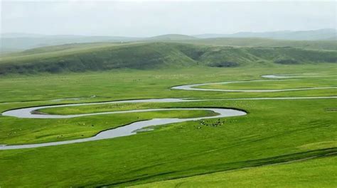 一棵小草折射出内蒙古草原生态保护的喜人成就