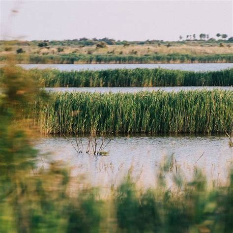 黄河入海口湿地风光,沼泽湿地,自然风景,摄影素材,汇图网www.huitu.com