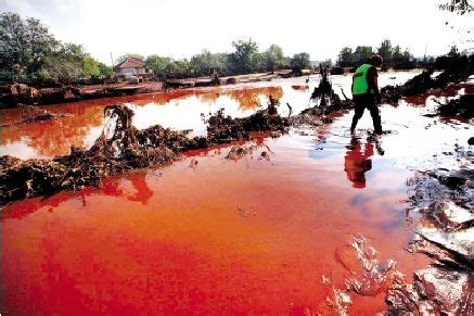 “毒水”入侵多瑙河多国面临生态灾难 - 长江商报官方网站