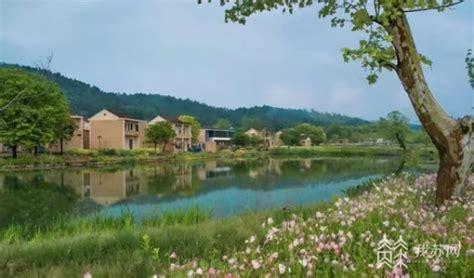 2023年江苏计划完成造林绿化20万亩 新建绿美村庄200个