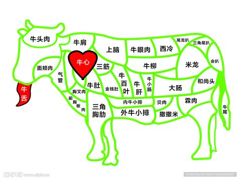 牛肉分布图图片