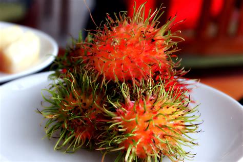 新鲜成熟的红毛丹甜热带水果去皮红毛丹，篮子上有叶子，从花园红毛丹树上收获红毛丹果高清摄影大图-千库网