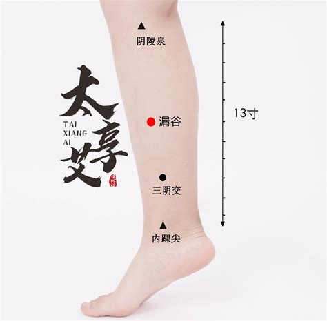 三阴交穴位图图片