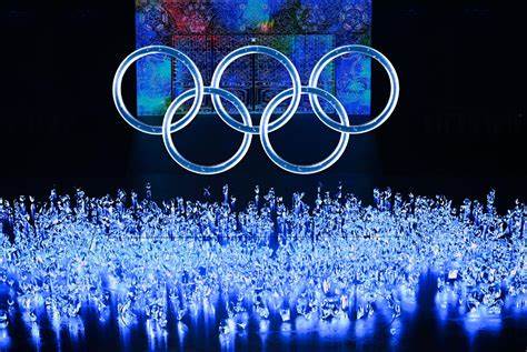 第11届冬季特殊奥林匹克运动会
