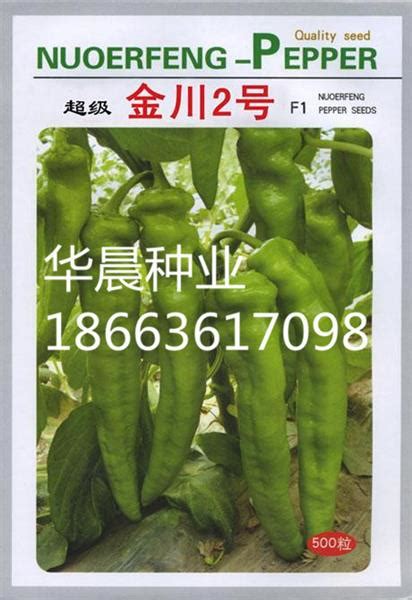 黄虎皮柿子-吉林省鑫丰蔬菜种子商店-农种网