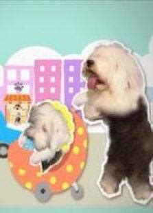 《狗狗的疯狂假期》定档2月2日 “狗年第一旺”陪你暖心度寒假 - 360娱乐，你开心就好