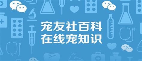穿成团宠福宝，我靠科研暴富了(焉画)全本在线阅读-起点中文网官方正版