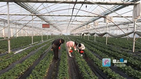 安徽亳州农副产品综合批发市场-企业官网