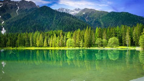 青山绿水,绿色,树木,树林,森林,湖泊,湖水,流水,大自然,4K风景壁纸-千叶网