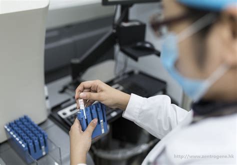 香港验血测胎儿性别的流程是怎么的呢？-香港Zentrogene基因检测中心(香港大Z化验所)【官网】