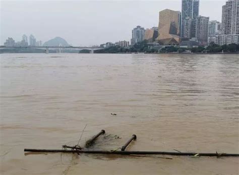 柳州市引进全自动清漂船有效打捞水浮莲