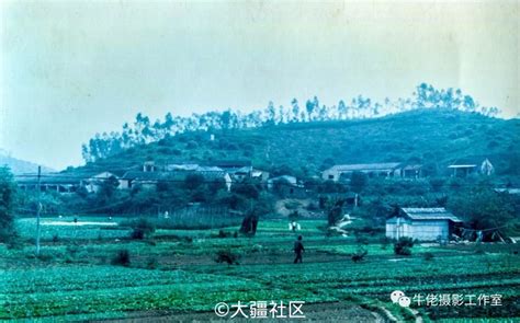 写春联、送福字……福城街道大水坑社区多彩活动让年味更浓！_深圳Plus