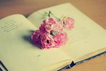 风会记得一朵花的香-风会记得一朵花的香,风,会,记得,一朵花,香 - 早旭阅读