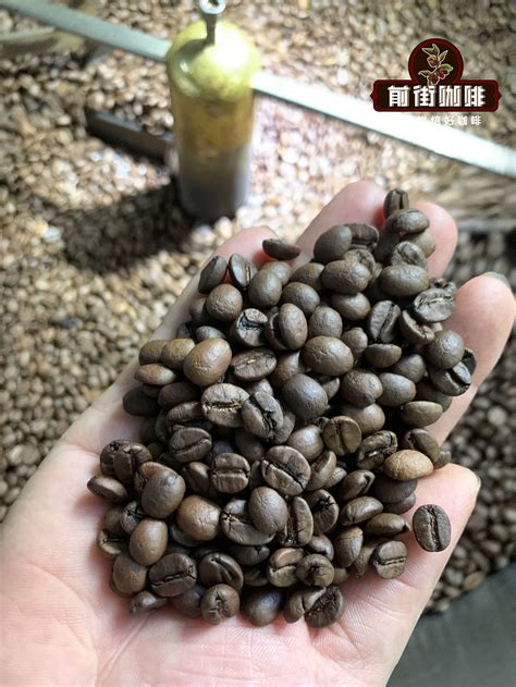 咖啡豆的烘焙唤醒世界最浓郁的香气 让你深深的爱上它 中国咖啡网