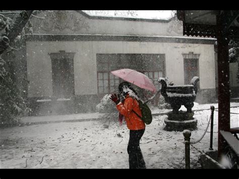 郑州下起“雷打雪” 漫天大雪和滚滚雷声相遇 市民深夜出门打雪仗_手机新浪网