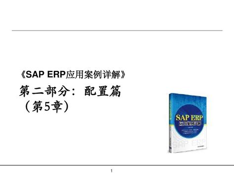 SAP ERP应用案例详解课程 -第二部分 配置篇(含第5章 财务模块配置)_word文档在线阅读与下载_无忧文档