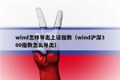 wind怎样导出上证指数（wind沪深300指数怎么导出） - 期货指数网