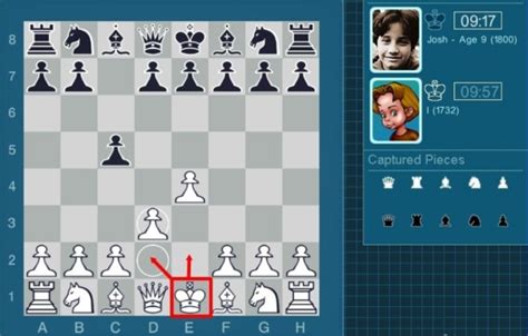 国际象棋规则图解（国际象棋入门 基础的行棋规则） | 说明书网