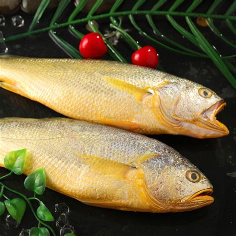 一文读懂黄鱼与黄花鱼：从外观到口感的详细对比