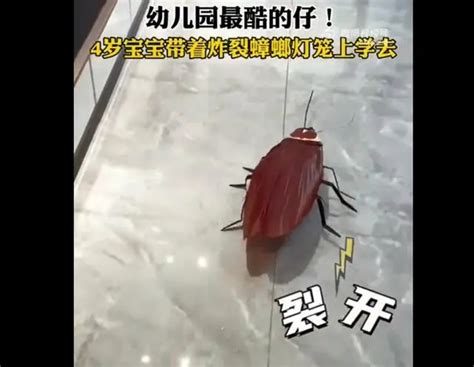 4岁宝宝带着炸裂蟑螂灯笼上学去 网友：真“蟑”灯结彩！_天下_新闻频道_福州新闻网