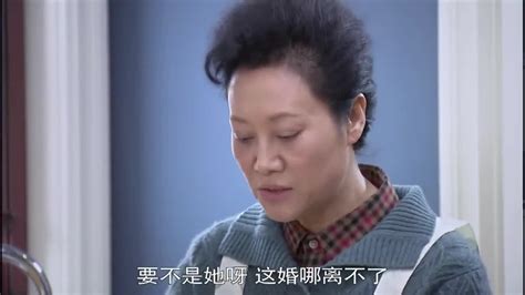 岳母的幸福生活（2015年王志军执导的电视剧）_摘编百科