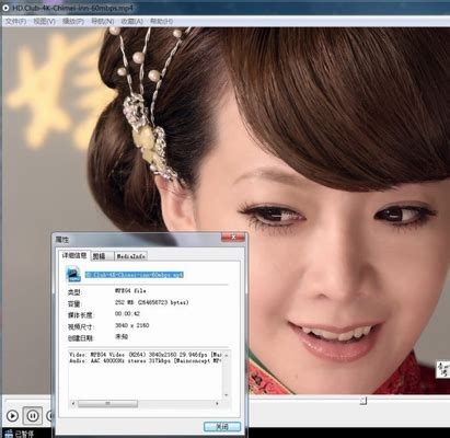 中文4K Video Downloader(4K高清视频下载软件)v4.22.1.5160 破解版 - 影视从业者资源网