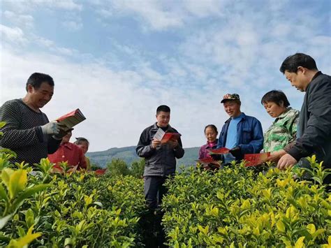 荆门党建网 - 荆门党建新闻网站, 荆门党建资讯第一门户网站