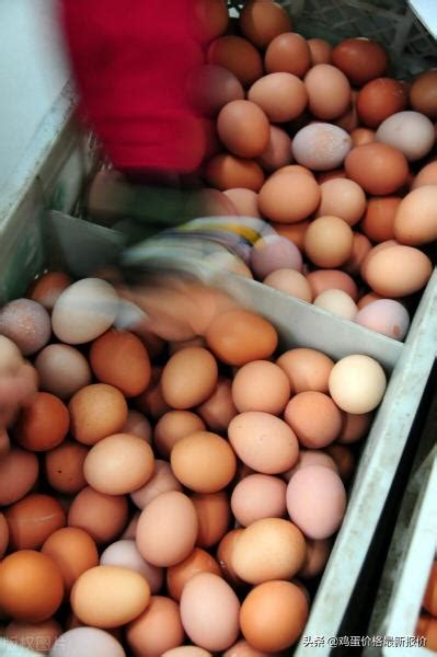 今日兰考鸡蛋价格（2022年3月28日鸡蛋价格最新报价行情） - 科技田(www.kejitian.com)