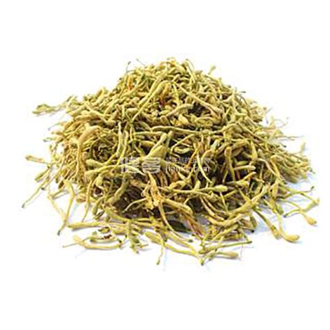 金银草图片