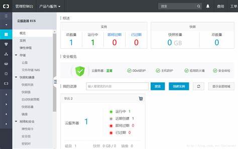 阿里云服务器网站运行(阿里云服务器的使用方法)