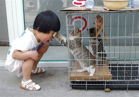 小孩与猫