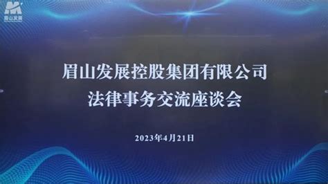 眉山天府新区投资集团有限公司 - 企业年报信息 - 爱企查