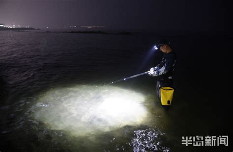 航拍青岛银沙滩海水浴场视频素材_ID:VCG2211213405-VCG.COM