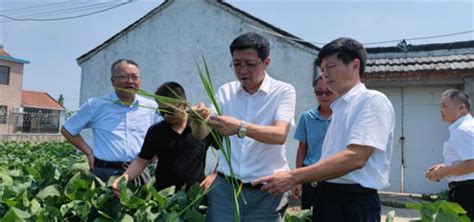 中国农业大学新闻网 媒体农大 全国首个构树院士工作站揭牌仪式在然泉农业举行