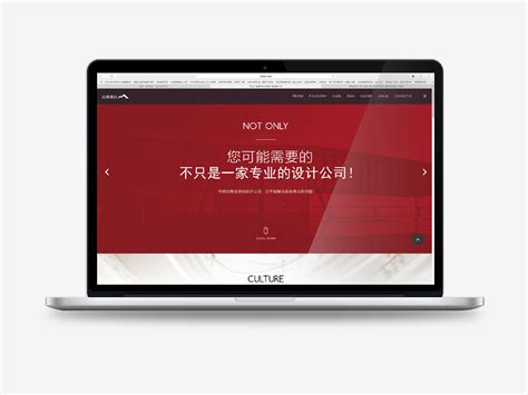 Salient设计公司网站 - - 大美工dameigong.cn