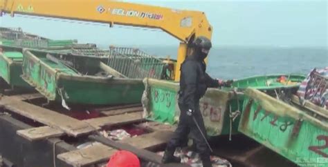 台湾海巡队再次查扣大陆渔船 称其“越界违规”(图)|越界|大陆|渔民_新浪军事_新浪网