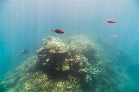 澳大利亚 绝美大堡礁太壮观了