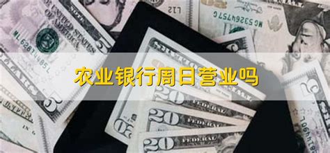 中国农业银行_农业银行官网登录入口 - 随意优惠券