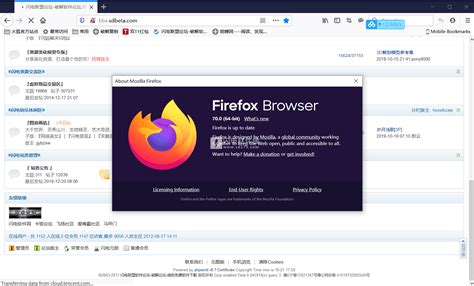 火狐浏览器设置中文（火狐浏览器自动翻译成中文）_亿抖网