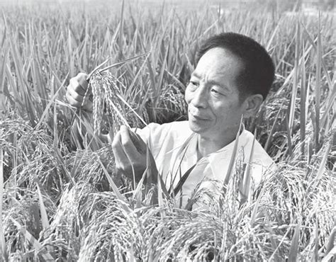 袁隆平的两个梦想：禾下能乘凉，水稻遍全球_农机通讯社