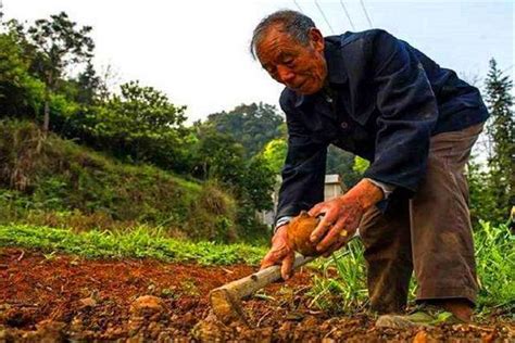 陕西一位农民在田里锄地，挖出一件国宝级文物，专家奖励其500元