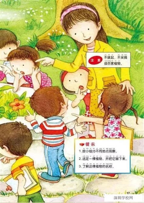 【阅读漂流】中班绘本课《植物的叶子》