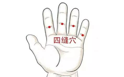 四缝的准确位置图图片 四缝的准确位置图图片