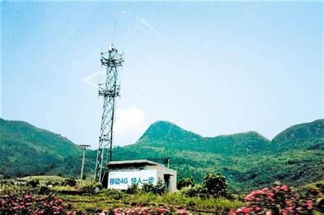 农村4G提速 电信联通获低频段红利_科技_腾讯网