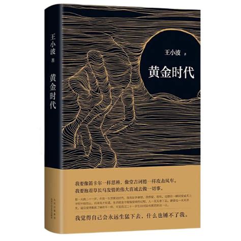 王小波 内容简介-关于王小波的《黄金时代》。