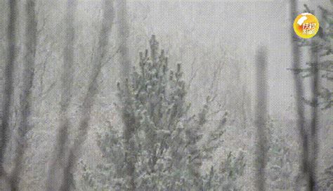 榆林城区今日大雪纷飞 陕西未来几天将有降水、降温、大风天气 - 西部网（陕西新闻网）