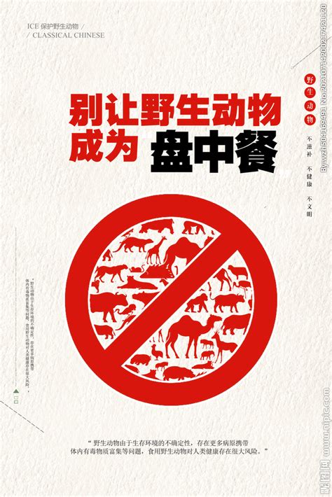 禁食野生动物保护野生动物宣传PPT模板下载_熊猫办公