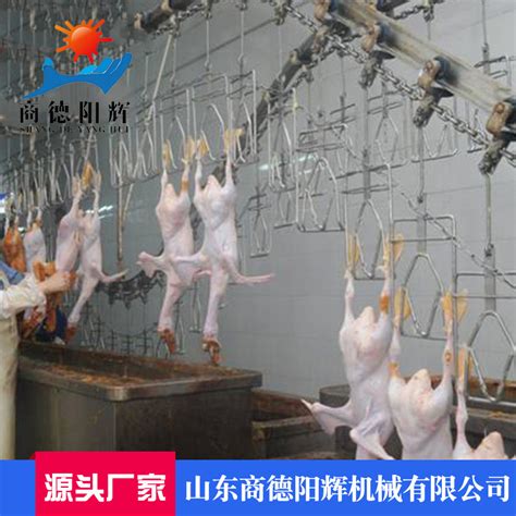 年屠宰肉鸡860万羽！广西春茂屠宰线投产